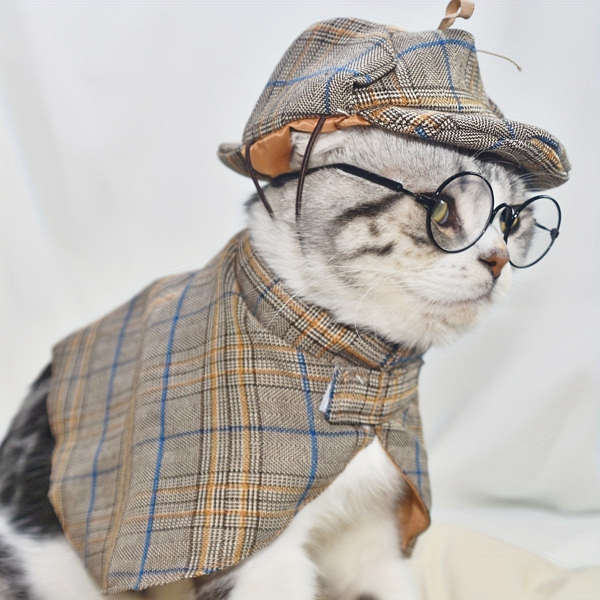 Disfraz de Detective para Gatos