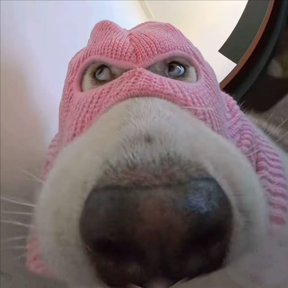 Pasamontañas para Perros
