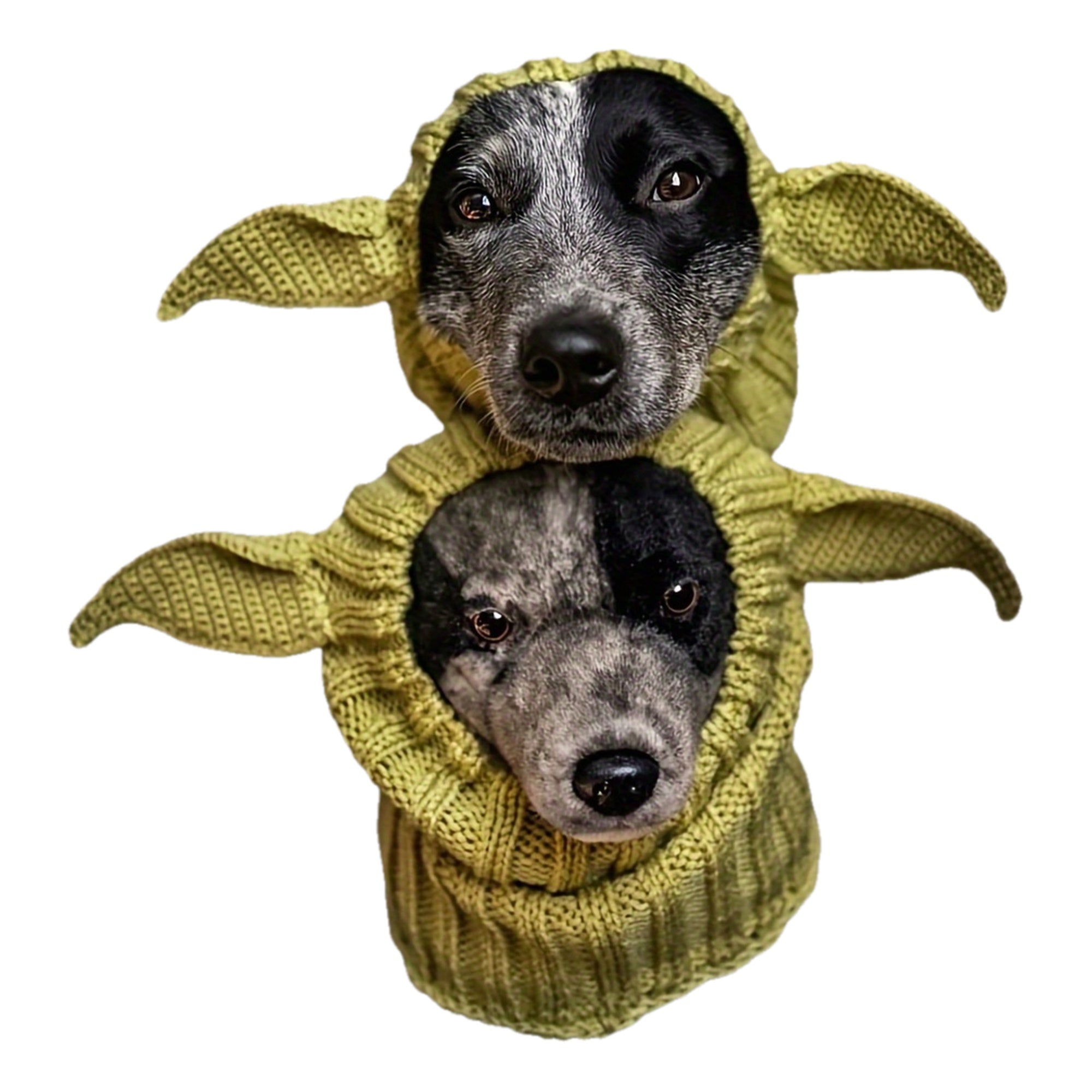 Pasamontañas Duende Para Perros (50% DESCUENTO)