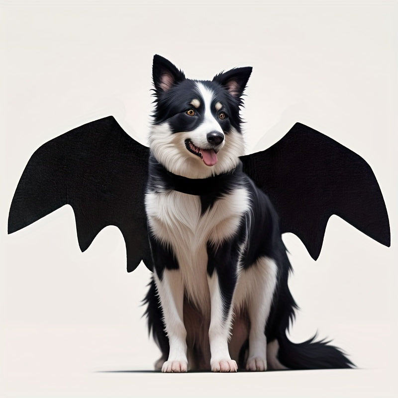 Alas de Murciélago para Perros (50% DESCUENTO)