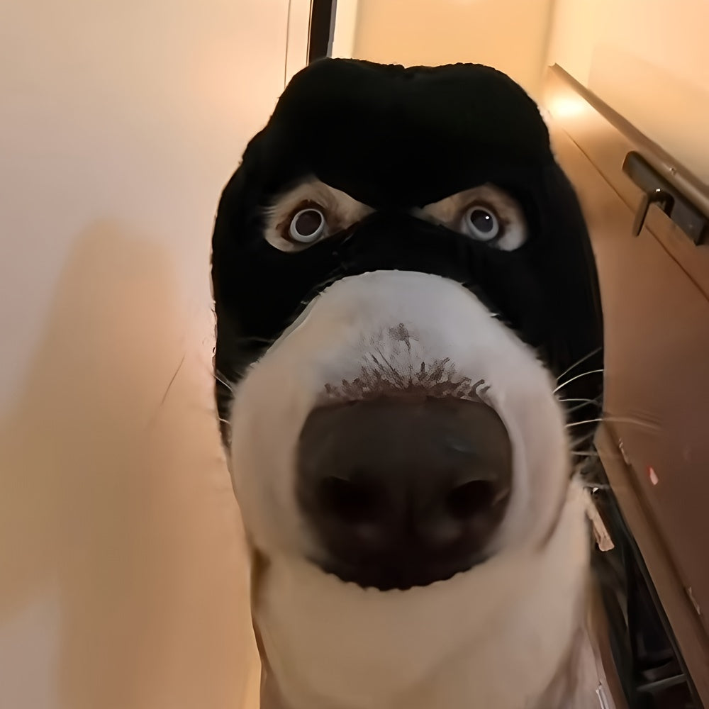 Pasamontañas para Perros