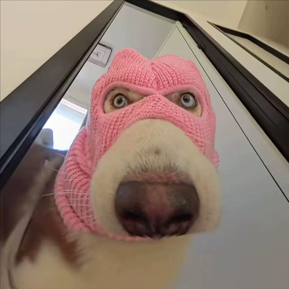 Pasamontañas para Perros