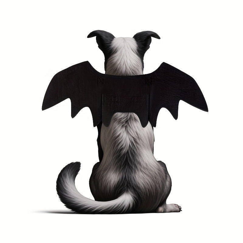 Alas de Murciélago para Perros (50% DESCUENTO)