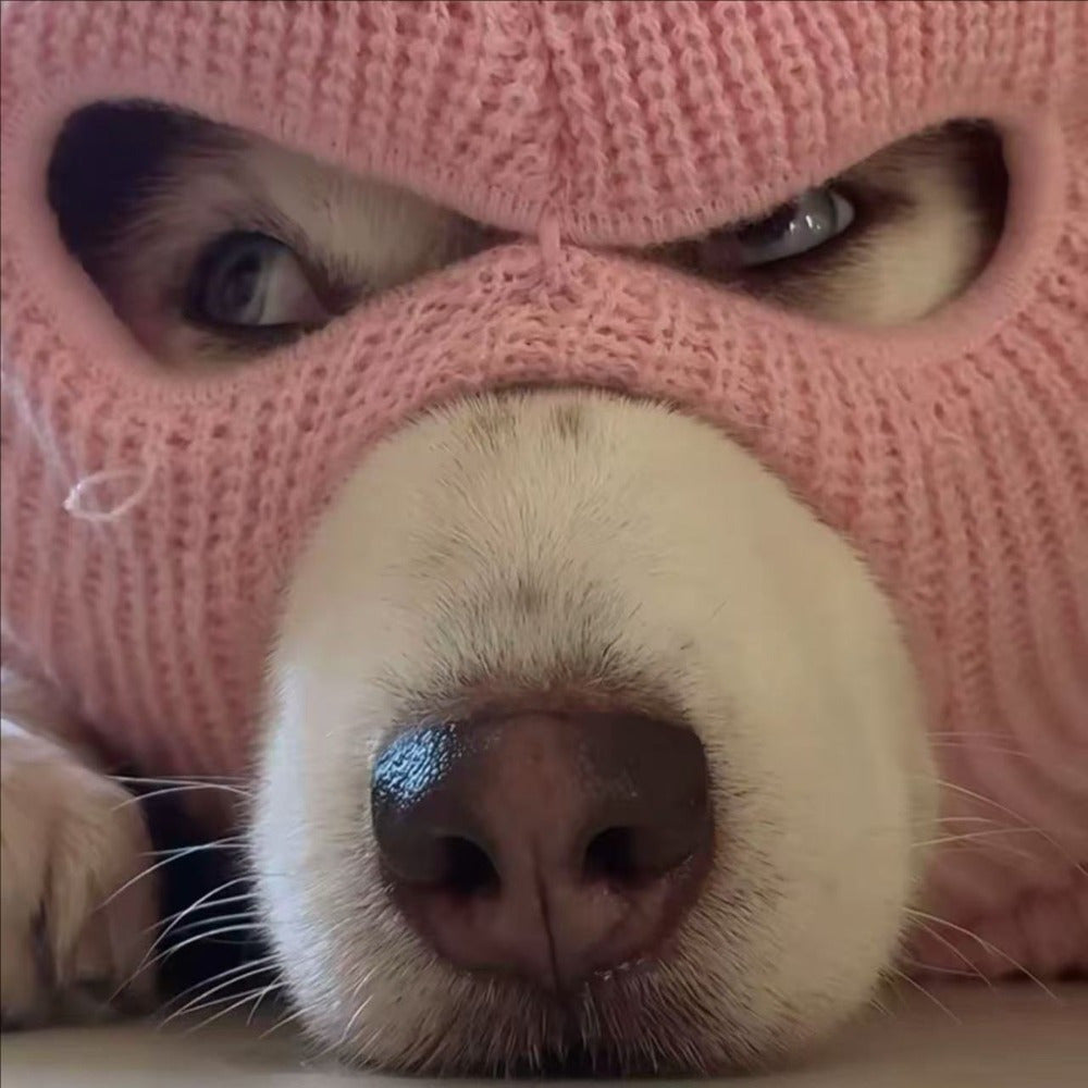 Pasamontañas para Perros