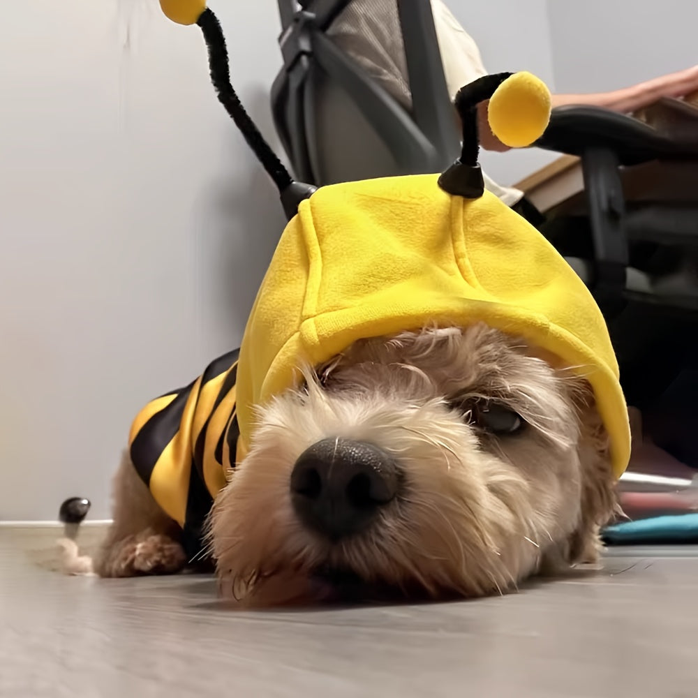 Disfraz de Abeja para Perro (40% DESCUENTO)
