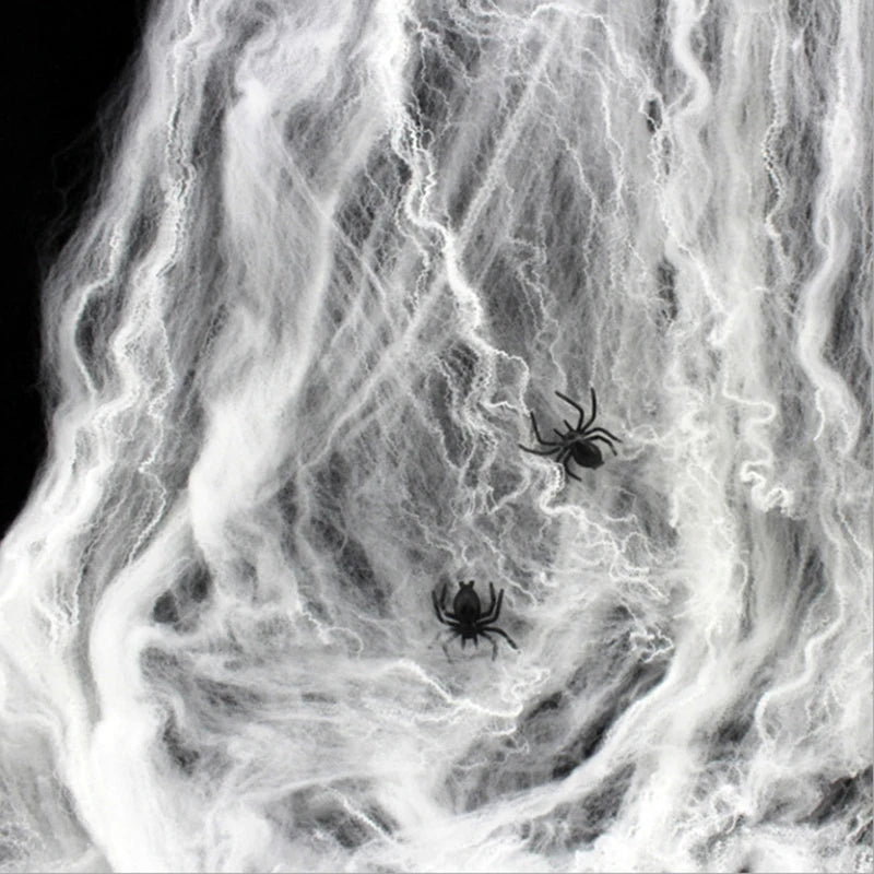 Telaraña Decorativa