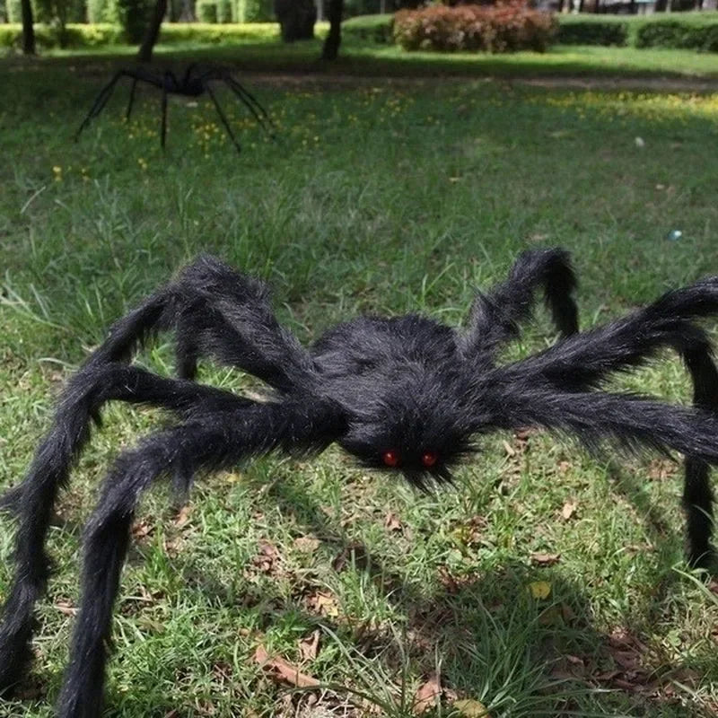 Araña Negra Gigante de 2 Metros