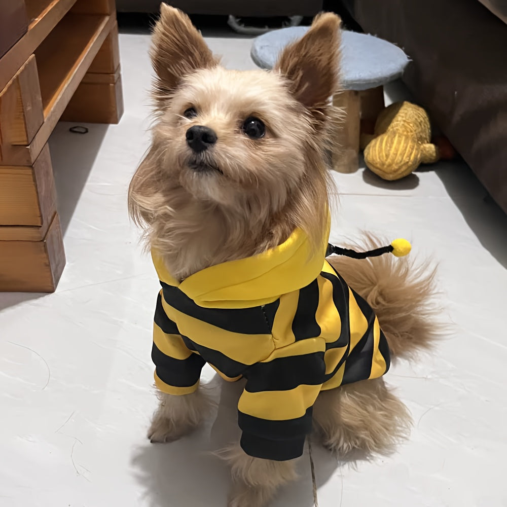 Disfraz de Abeja para Perro (40% DESCUENTO)