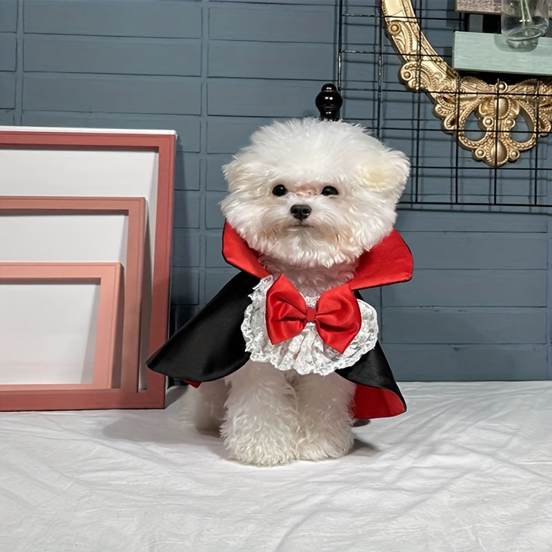 Disfraz de Vampiro para Mascotas (50% DESCUENTO)