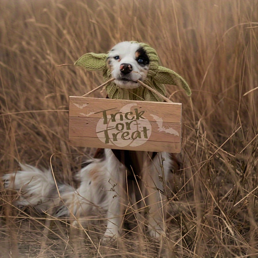 Pasamontañas Duende Para Perros (50% DESCUENTO)