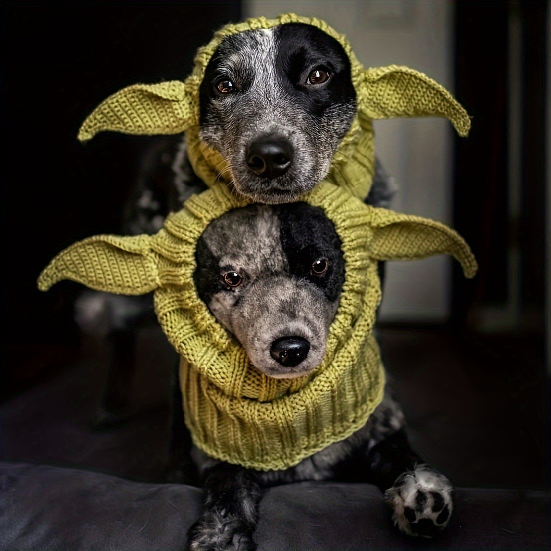 Pasamontañas Duende Para Perros (50% DESCUENTO)