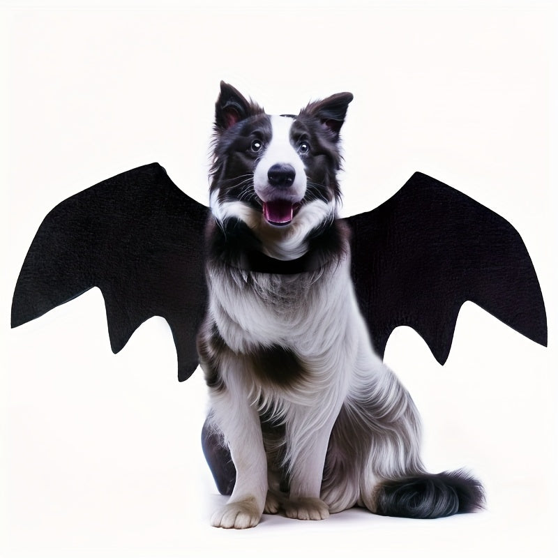 Alas de Murciélago para Perros (50% DESCUENTO)