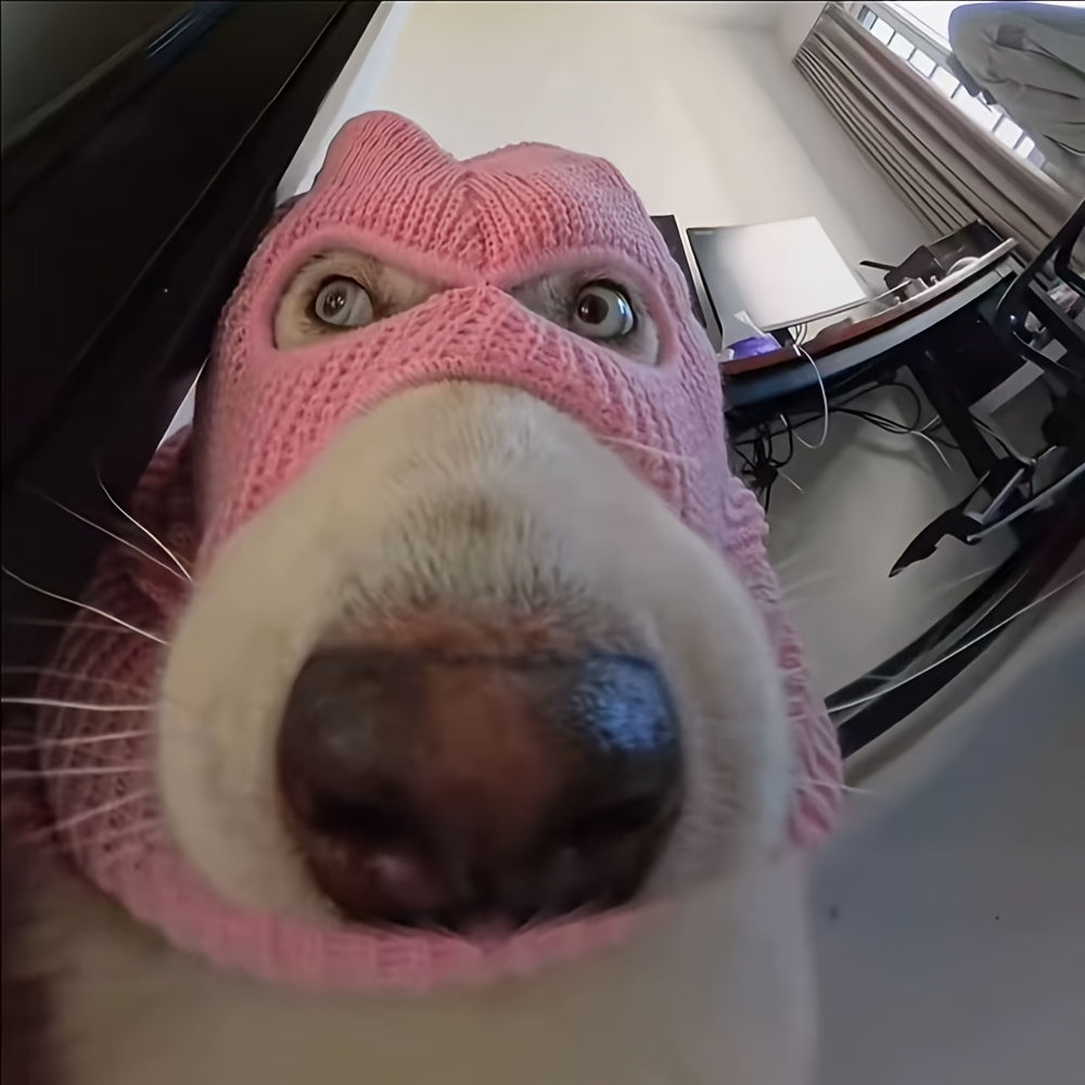 Pasamontañas para Perros