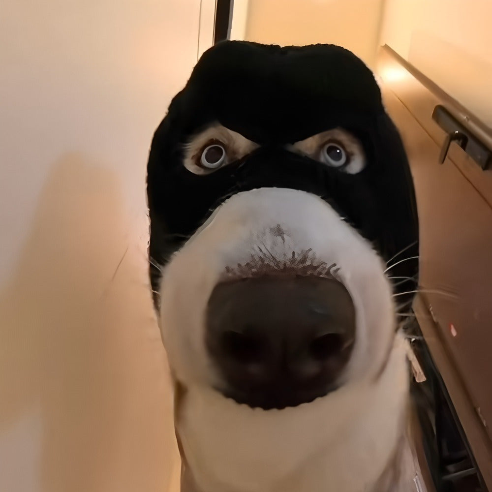 Pasamontañas para Perros