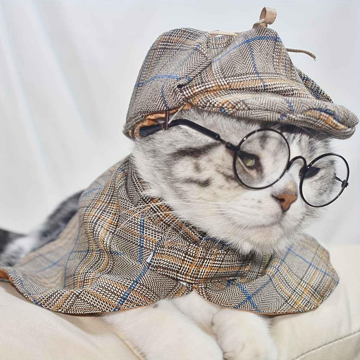 Disfraz de Detective para Gatos